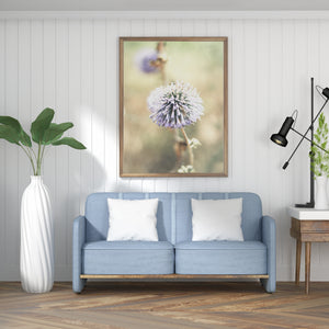 תמונת קיר של פרח קיפודן סגול, פרינט להדפסה