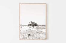 Load image into Gallery viewer, Tree print, black and white sepia printable wall art, Israel landscape, nature prints, wall prints