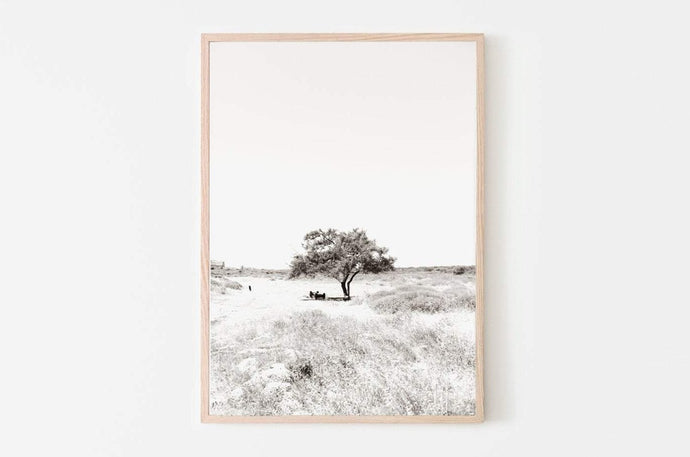 Tree print, black and white sepia printable wall art, Israel landscape, nature prints, wall prints