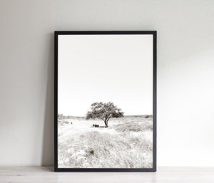 Tree print, black and white sepia printable wall art, Israel landscape, nature prints, wall prints
