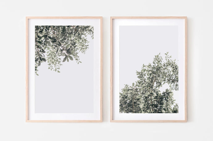 Set of 2 wall Prints, botanical Print, Printable Wall Art, Green leaves Poster, Nature Photography, Digital Download, Minimalist Decor, gift - prints-actually