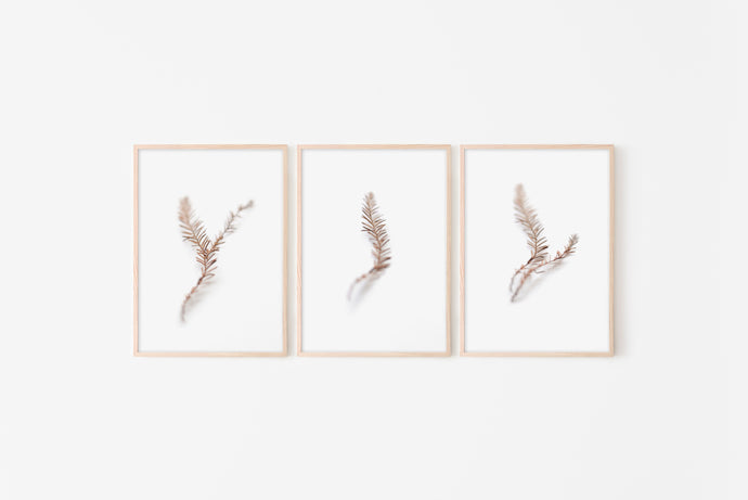 Set of 3 blurry branches wall art, brown and white print, printable modern prints - prints-actually