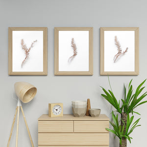 Set of 3 blurry branches wall art, brown and white print, printable modern prints - prints-actually