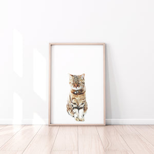 Cute Ginger Cat Print, Printable Wall Art, Animal Photography - prints-actually