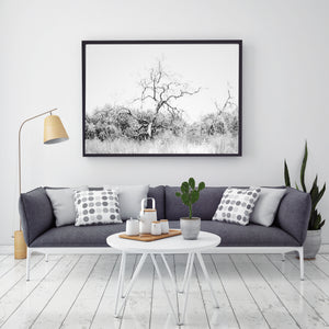 תמונת קיר של עץ בשחור לבן - פרינט להורדה