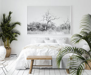 תמונת קיר של עץ בשחור לבן - פרינט להורדה