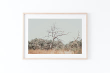 Load image into Gallery viewer, תמונת קיר של עץ בשדה, פרינט להדפסה מיידית