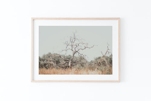 Tree in a field print, printable wall art, Israel landscape, digital wall prints