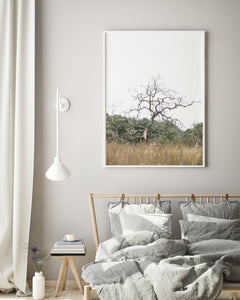 Tree in a field print, printable wall art, Israel landscape, digital wall prints